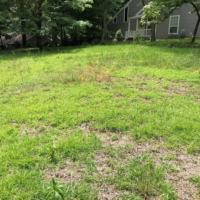 Before Photos