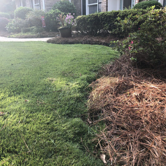After Photos