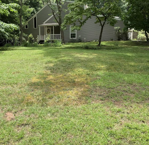 After Photos