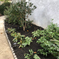 Real Mulch Pictures From Our Jobs