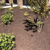 Real Mulch Pictures From Our Jobs