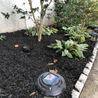 Real Mulch Pictures From Our Jobs