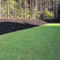 Real Mulch Pictures From Our Jobs