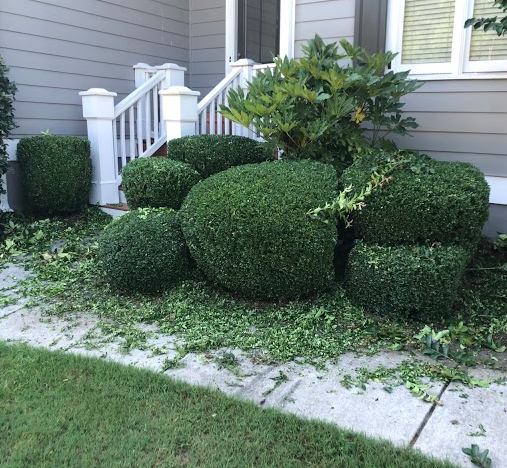 After Photos