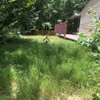 Before Photos