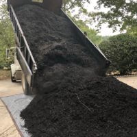 Real Mulch Pictures From Our Jobs