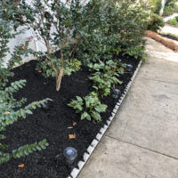 Real Mulch Pictures From Our Jobs