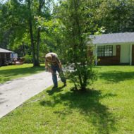 every-week-lawn-mowing-peachtree-city