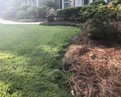 pine-needle-installation-company-peachtree-city-ga-30269