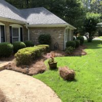 pine-straw-installation-peachtree-city-ga-30269