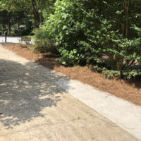 pine-straw-side-of-driveway-peachtree-city-ga-30269