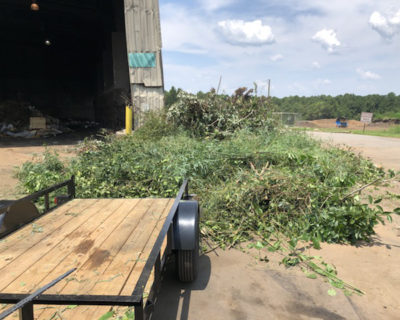 yard-waste-removal-peachtree-city-ga