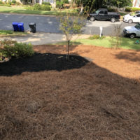black-mulch-and-pine-needle-installation-peachtree-city-30269