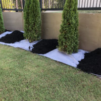 mulch-on-top-of-weed-barrier