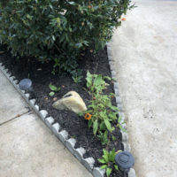 mulch-pointed-bed